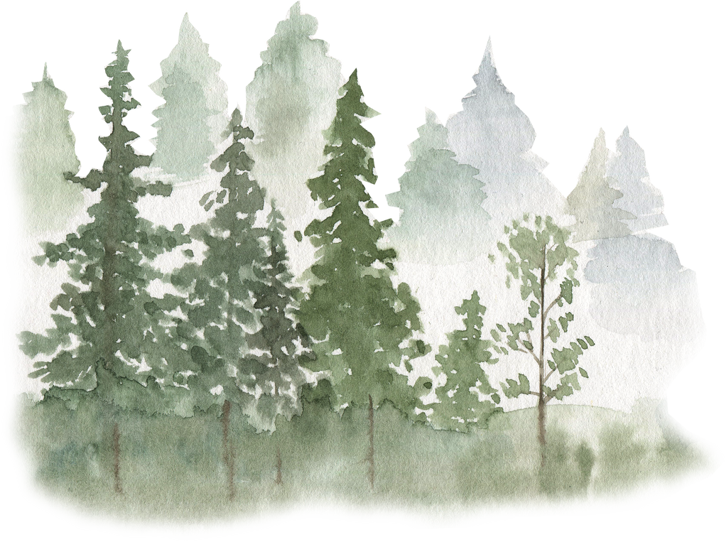 Watercolor Foggy Forest Illustration